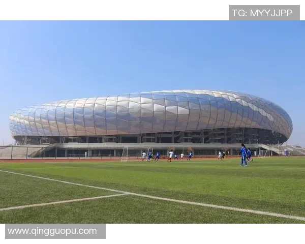 上海足球队在洲际杯中的崛起与成长历程全景回顾