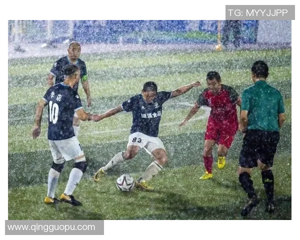 全国锦标赛特别报道：杭州篮球队勇攀高峰的拼搏历程与荣耀时刻