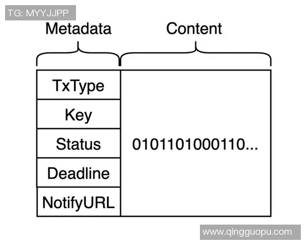 广州排球队的战术控制体系解析与实践探讨