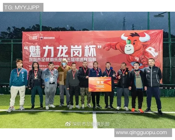 深圳足球队实力引发热议球迷对球队未来发展看法各异