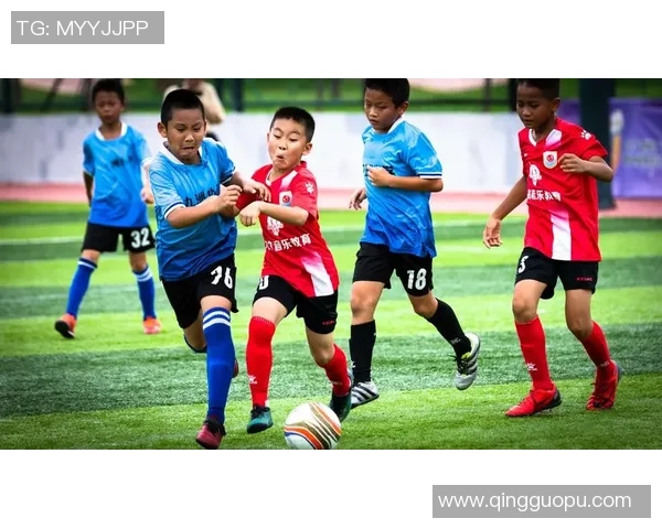 广州足球队的精神探寻与战术解析揭示足球背后的故事