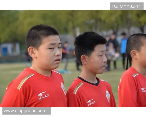 南京足球队个人能力分析与数据表现探讨