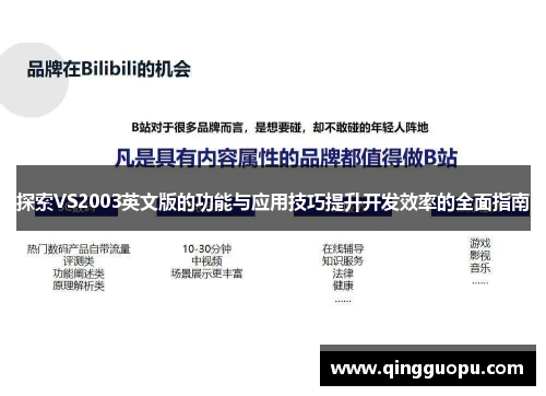 探索VS2003英文版的功能与应用技巧提升开发效率的全面指南