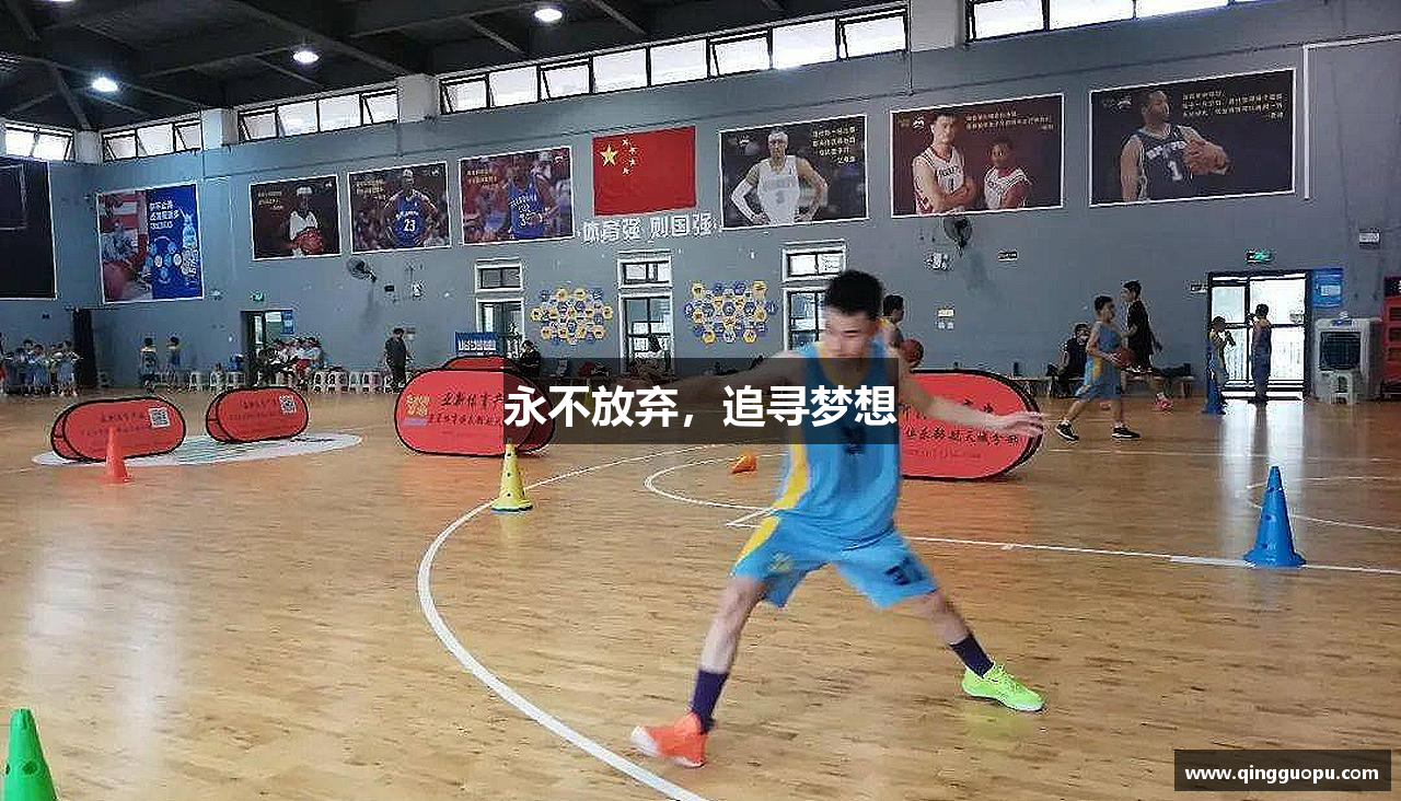 永不放弃，追寻梦想